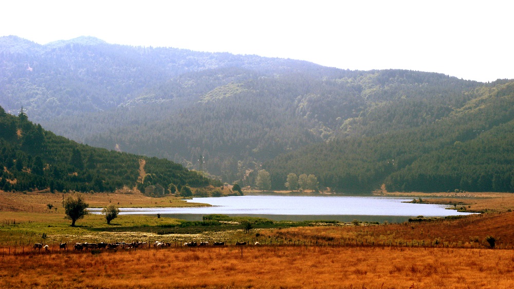 Lago Ariamacina2pci